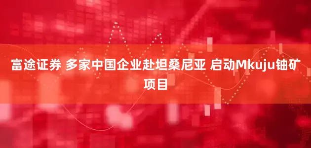 富途证券 多家中国企业赴坦桑尼亚 启动Mkuju铀矿项目