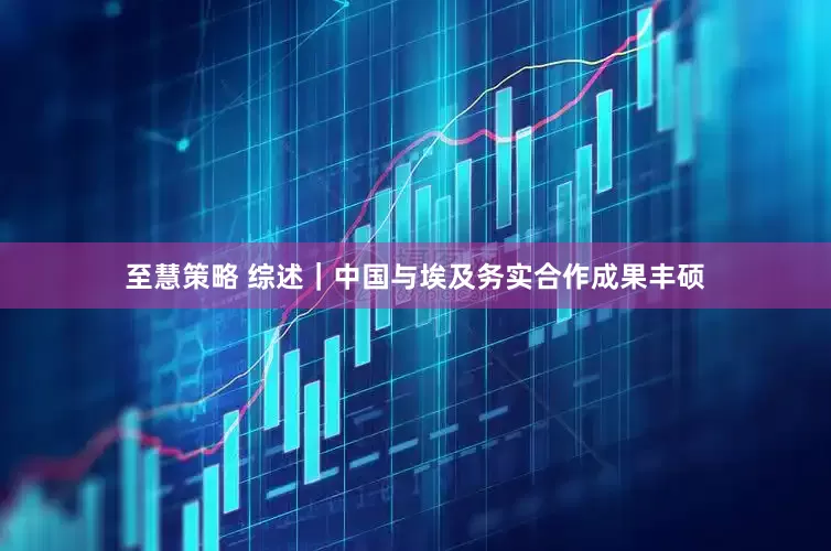至慧策略 综述｜中国与埃及务实合作成果丰硕