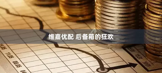 维嘉优配 后备箱的狂欢