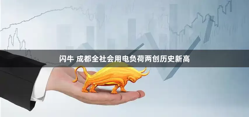 闪牛 成都全社会用电负荷两创历史新高