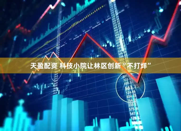 天盈配资 科技小院让林区创新“不打烊”