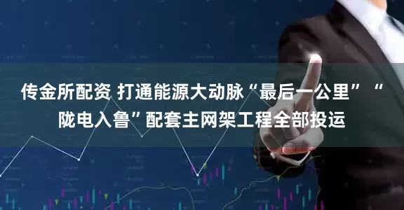 传金所配资 打通能源大动脉“最后一公里” “陇电入鲁”配套主网架工程全部投运